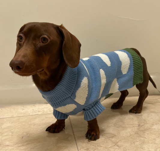 Washable Dachshund Winter Sweater