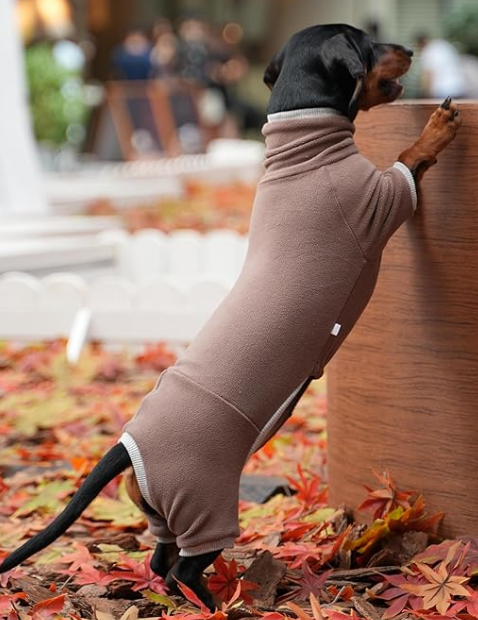 Dachshund Fleece Winter Pajamas with legs