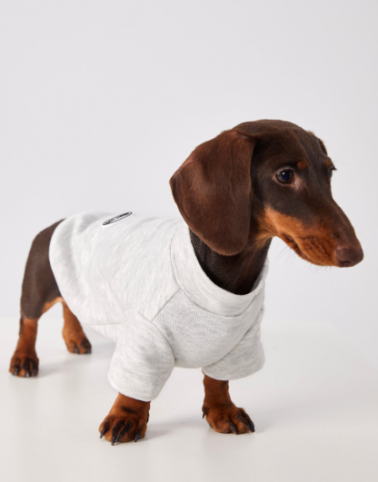 Summer Short Sleeves Dachshund Jumper