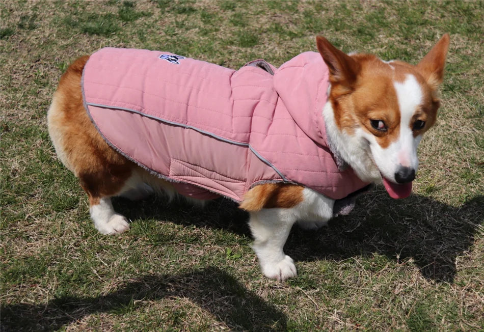 Warm dog coat for dachshund UK