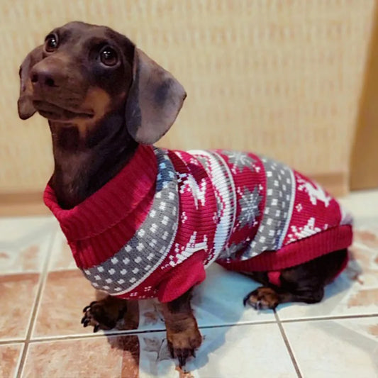 Christmas Dachshund Winter Sweaters
