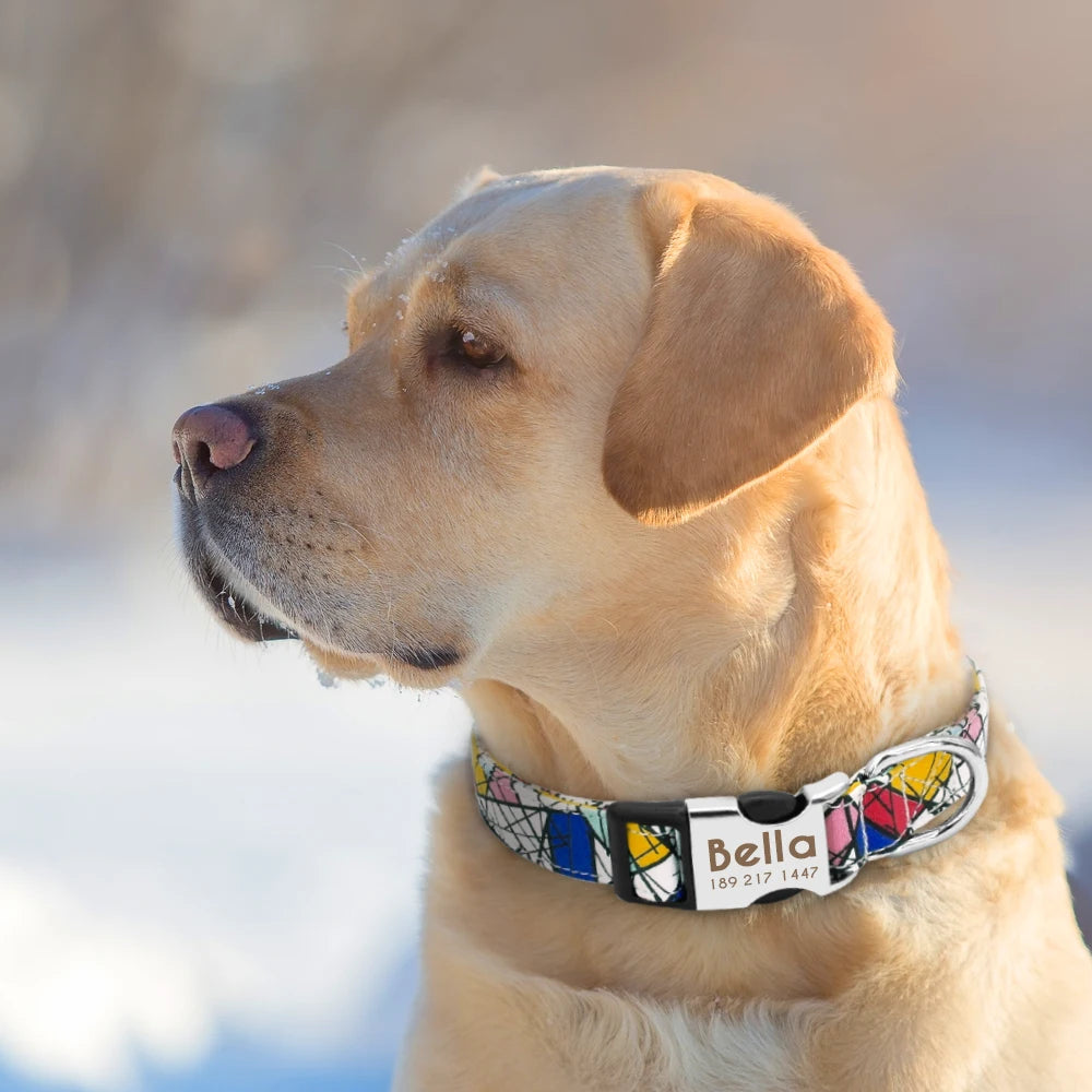 Adjustable Nylon Personalized Dog Collar with name