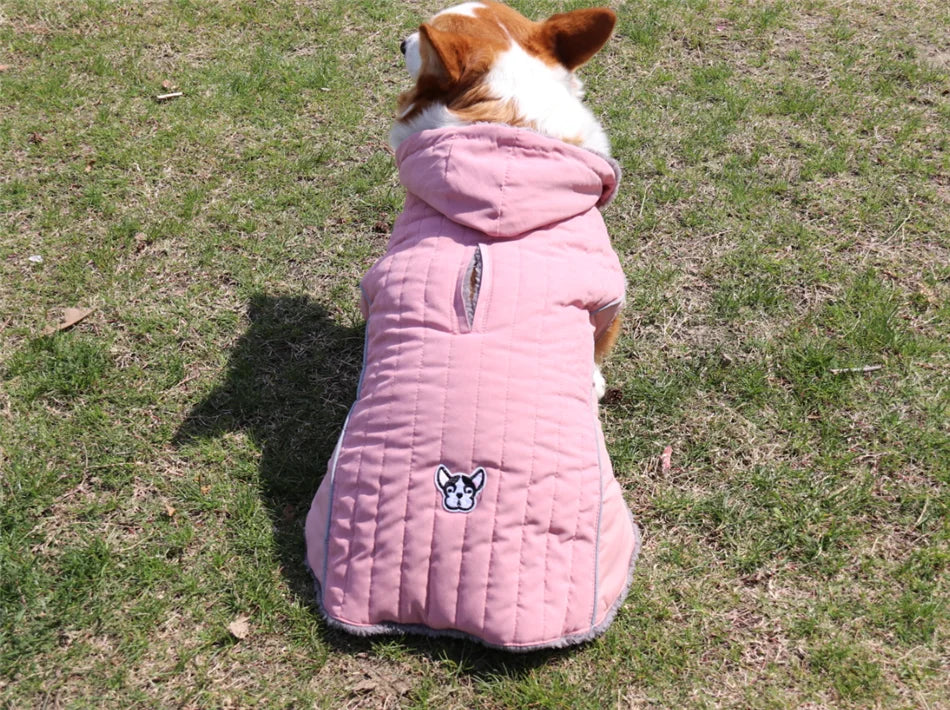 Dachshund winter jacket pink