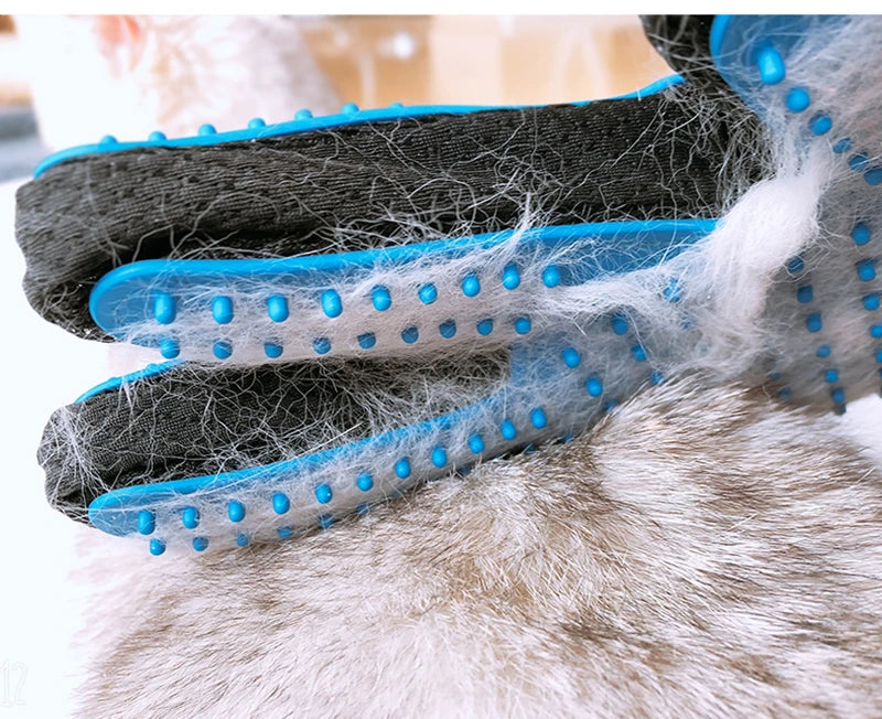 Best Pet Gloves for Cat Grooming UK