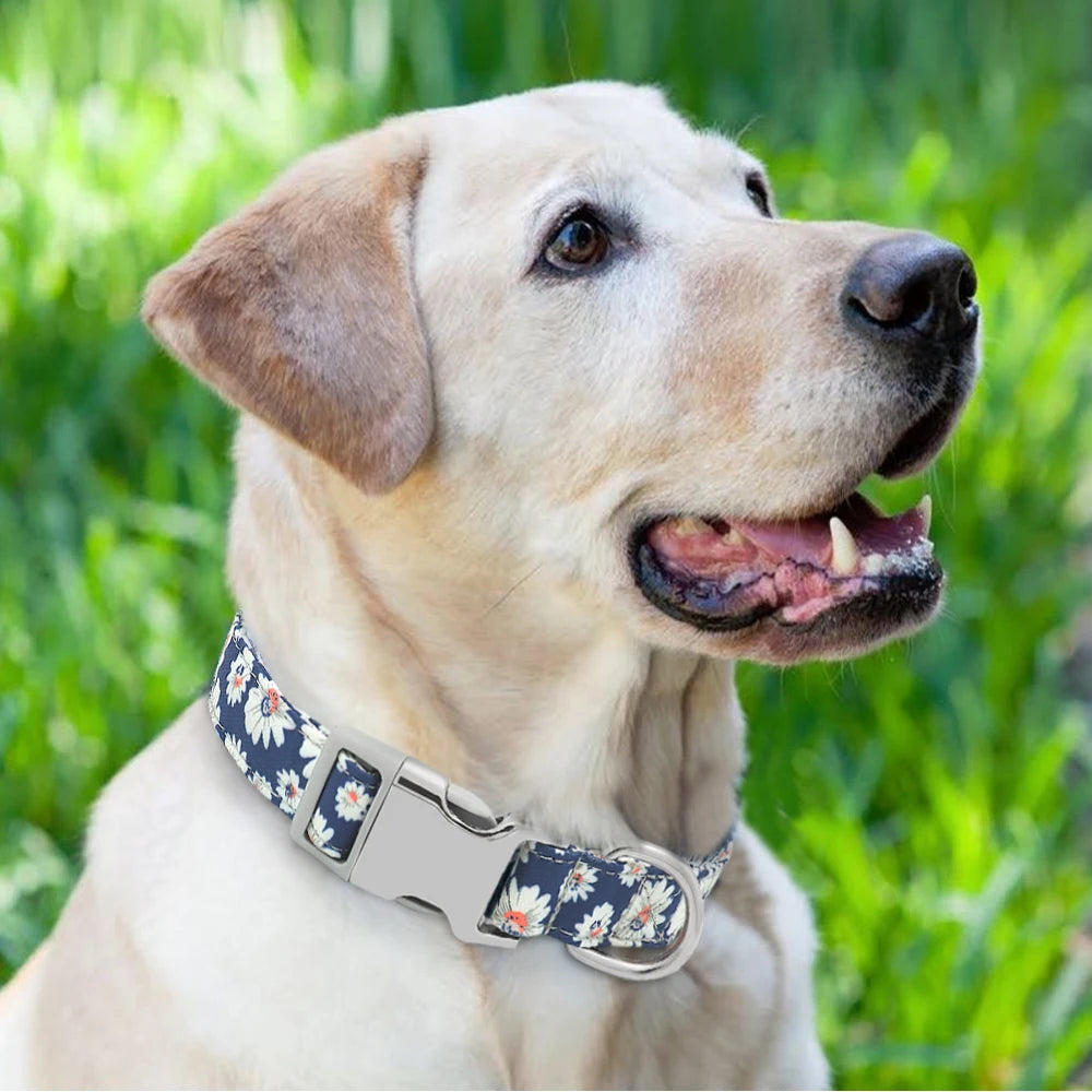 Adjustable Nylon Personalized Dog Collar with name