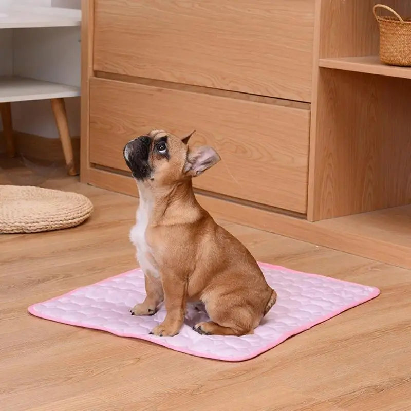 Washable Breathable Dog Cooling Mat