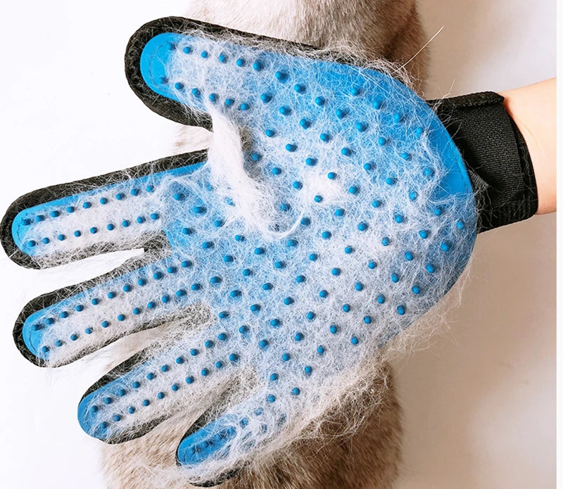 Best Pet Gloves for Cat Grooming UK