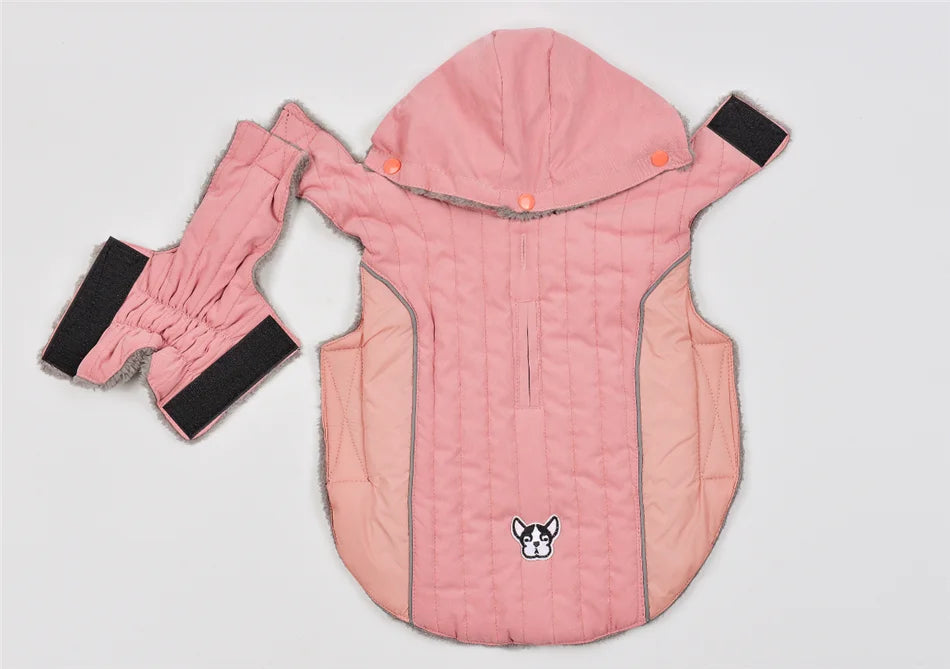 Padded dachshund winter coat UK