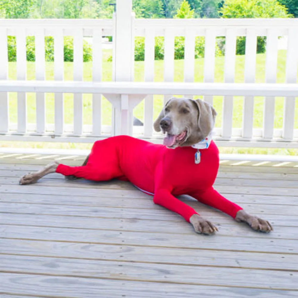 Dog Recovery Jumpsuit – Comfort, Coverage & Healing