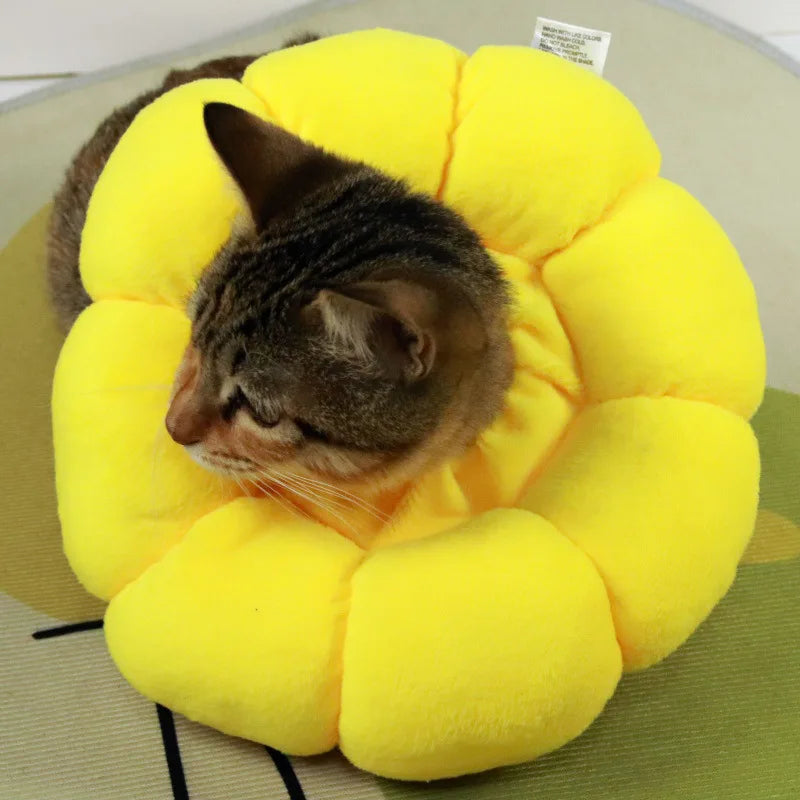 Adjustable Soft Cat Elizabethan Collar