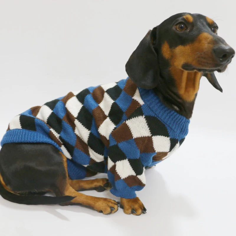 Jumpsuit for Sausage Dogs