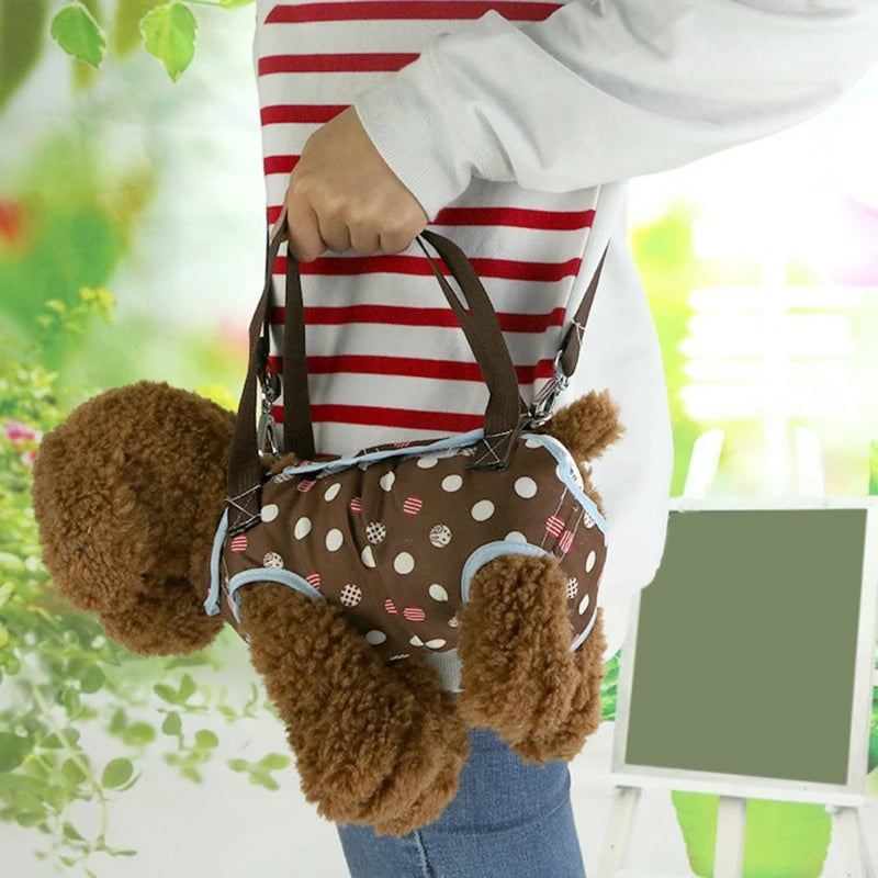 handbag dog carrier