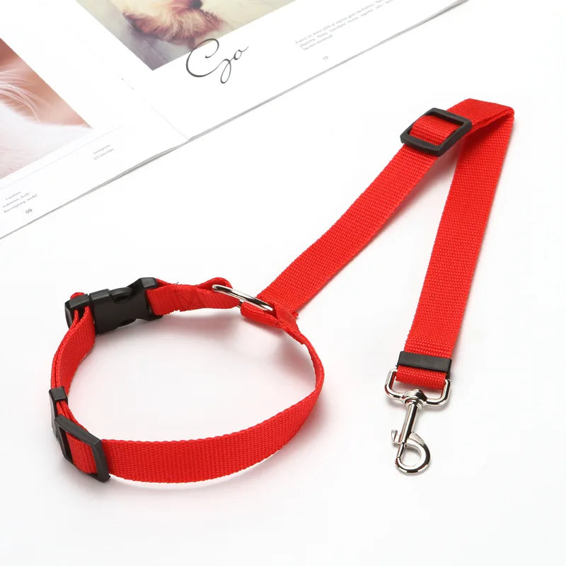 2 in 1 Dog Car Seat Belt & Harness Collar
