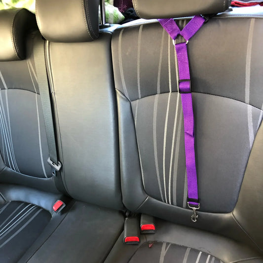 car safety harness for dogs uk