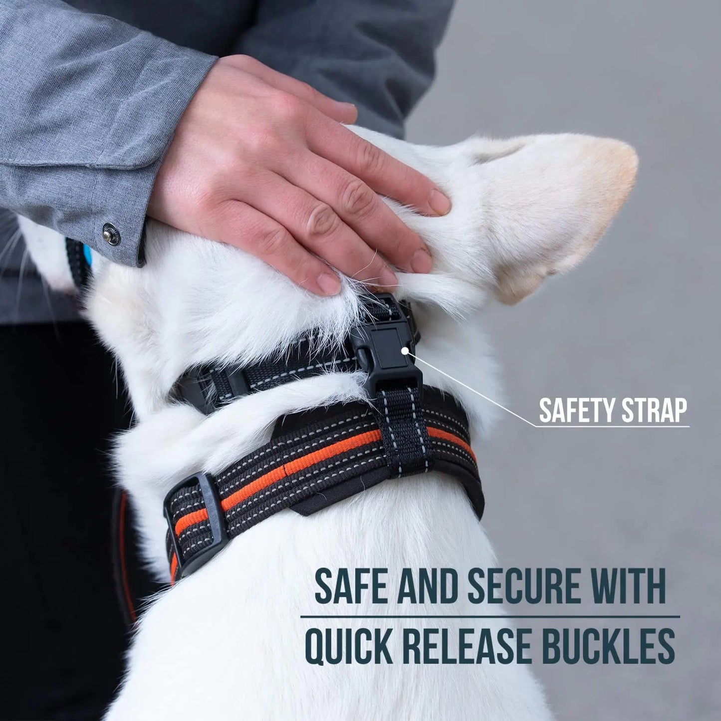 Nylon Dog Breathable Mouth Muzzle