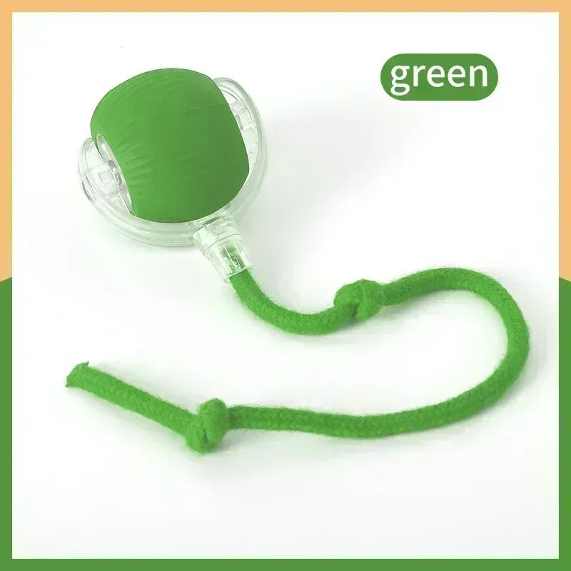 Automatic Rolling Ball Cat Toys Type C rechargeable