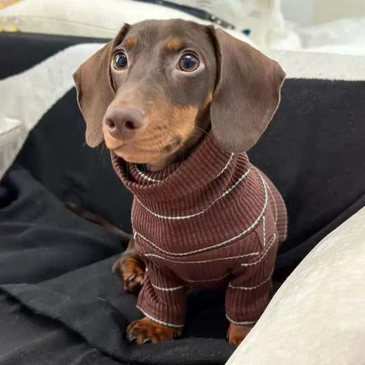 Dachshund Jumper UK