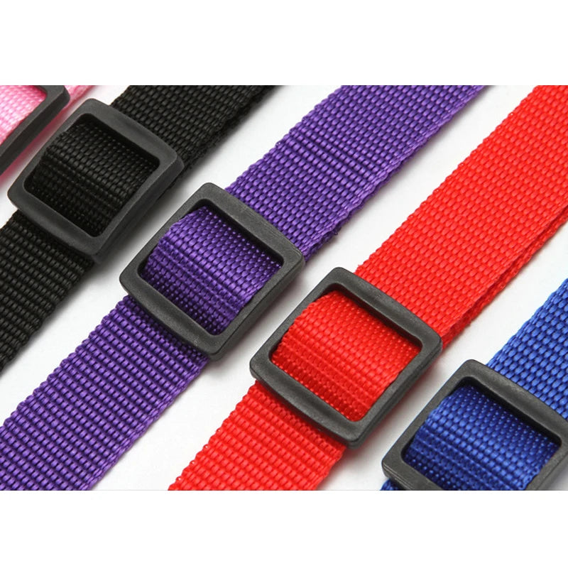 2 in 1 Dog Car Seat Belt & Harness Collar