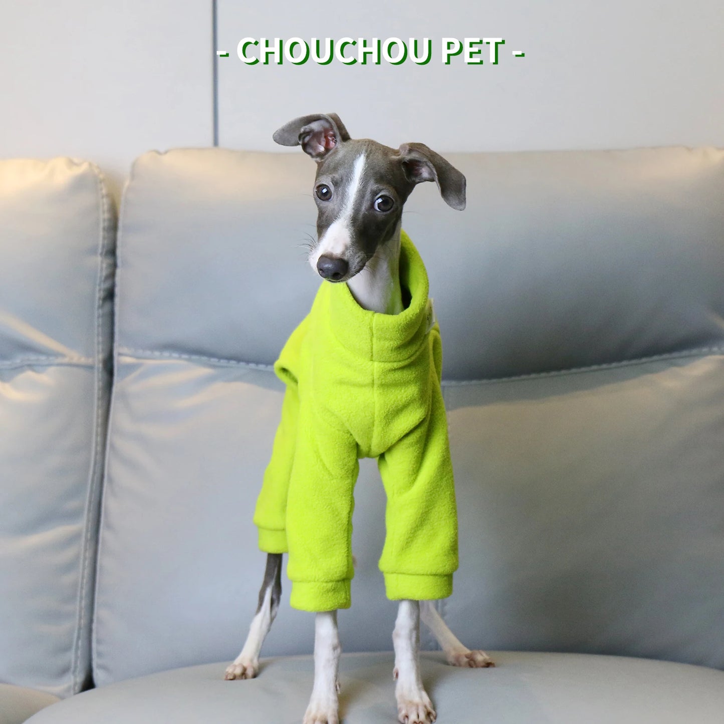 Dinosaur Winter Italian Greyhound Clothes