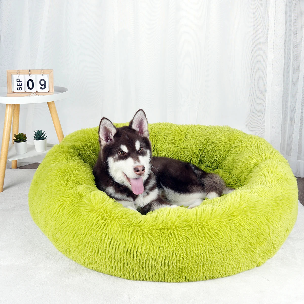 donut dog beds washable