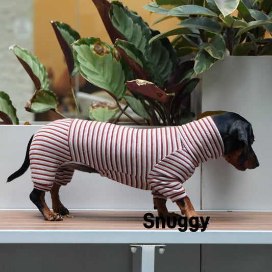 Dachshund Surgery Recovery Suit Onesie