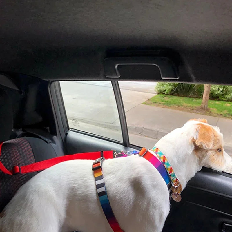 2 in 1 Dog Car Seat Belt & Harness Collar