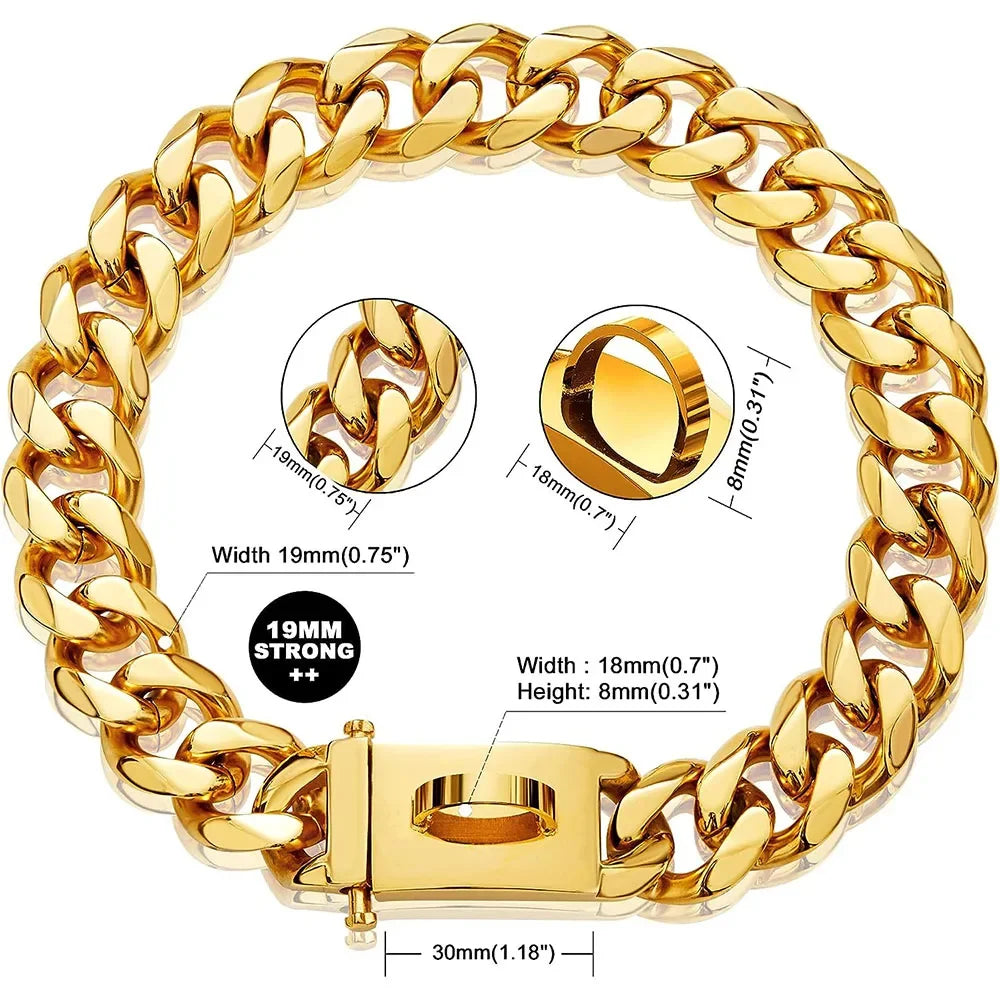 dog collar with gold buckle