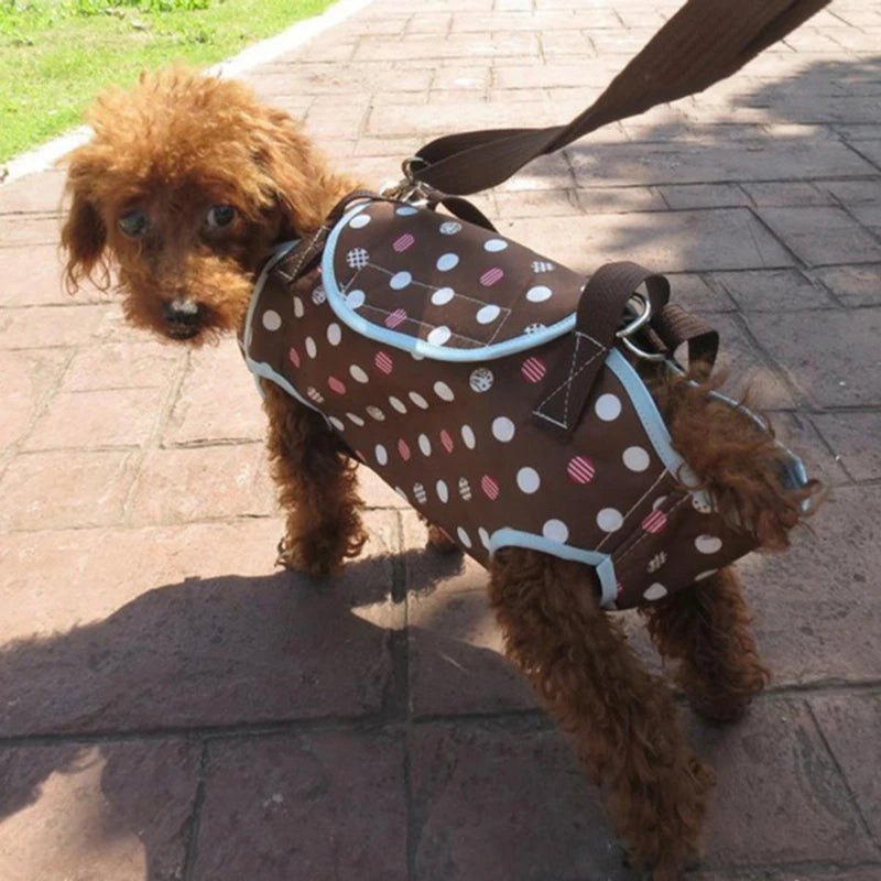 3 in 1 Pet Dog Handbag Carrier For Dogs