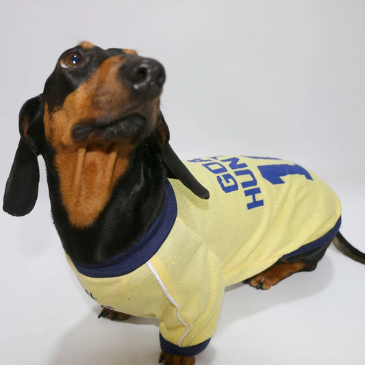 Spring Fashion T-shirt for Dachshund