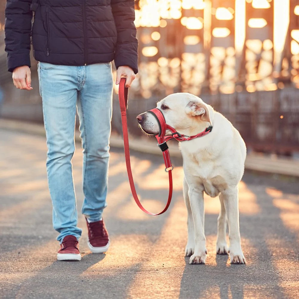 Mouth muzzle for dogs