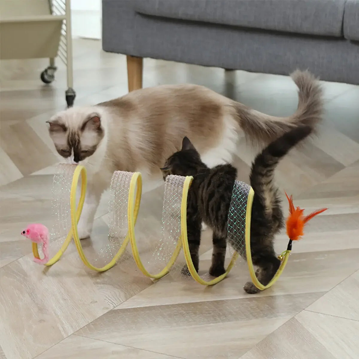 cat spring tunnel