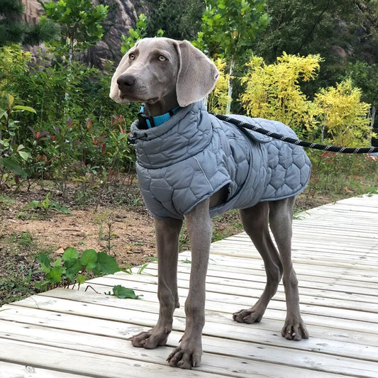 whippet waterproof coats
