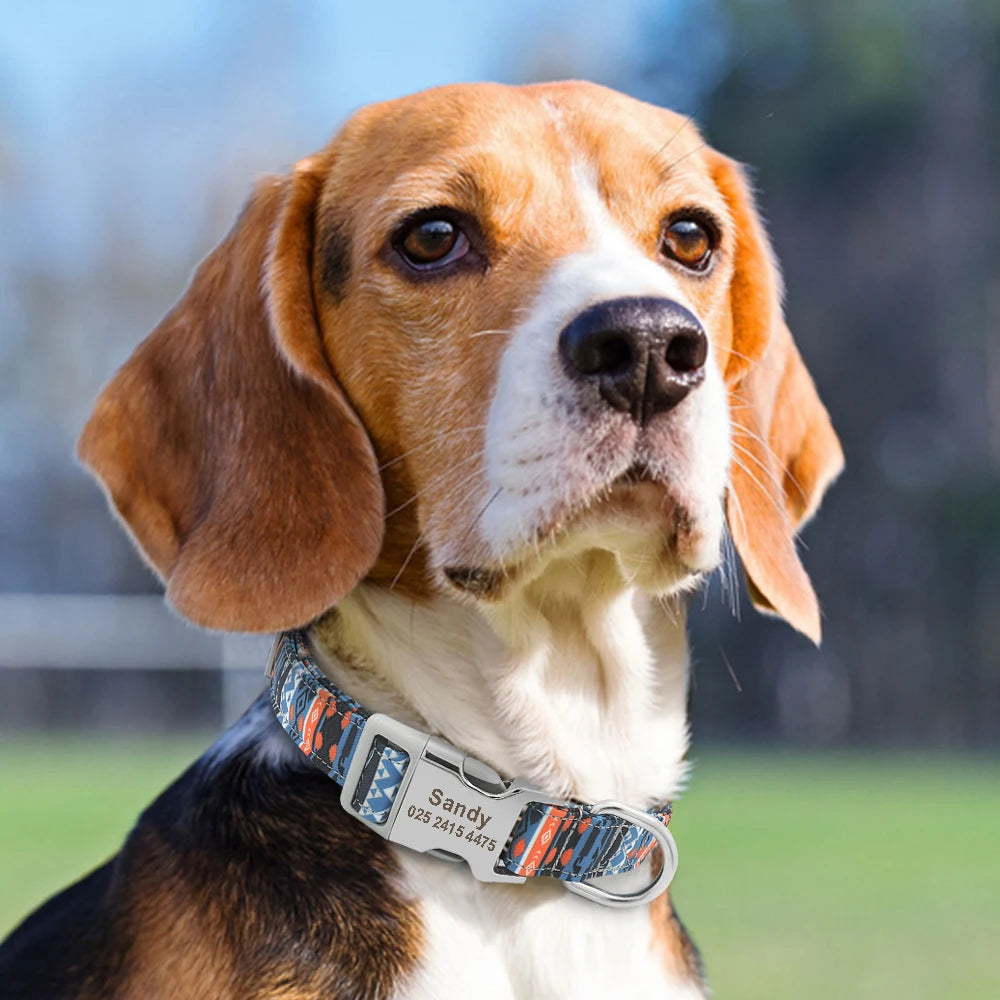 adjustable nylon dog collar