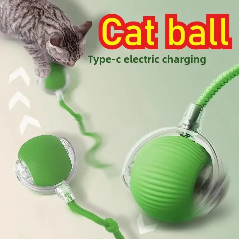 rolling ball cat toy