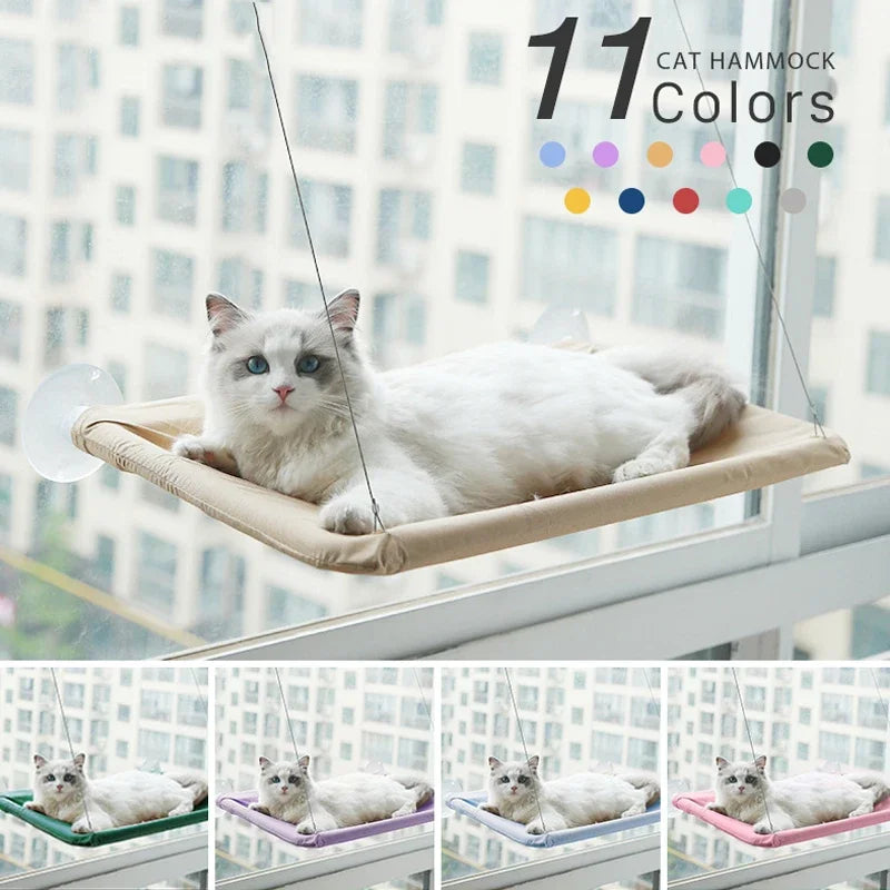 cat hammocks for windows