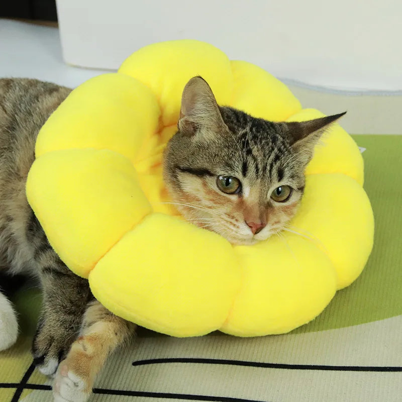 Adjustable Soft Cat Elizabethan Collar