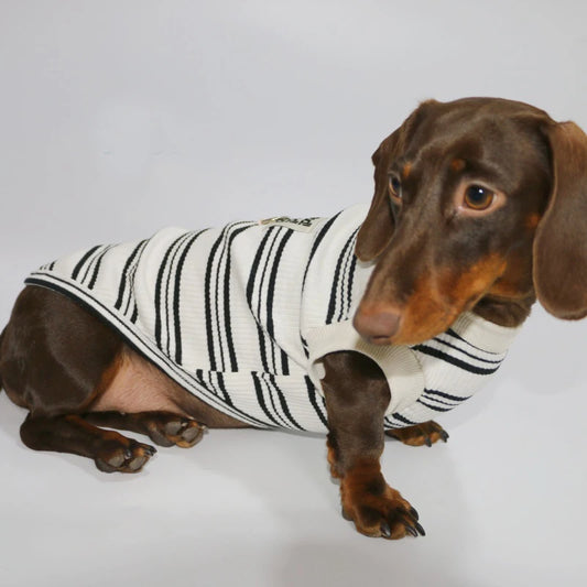 Striped Dachshund T shirt Sleeveless Vest