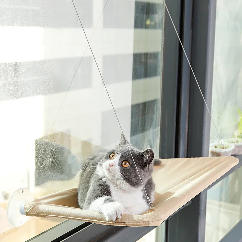 best cat hammock window