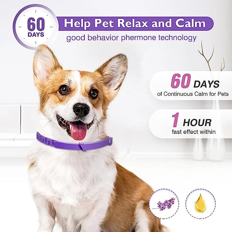 Calming Pheromone Collar for Dogs and Cats