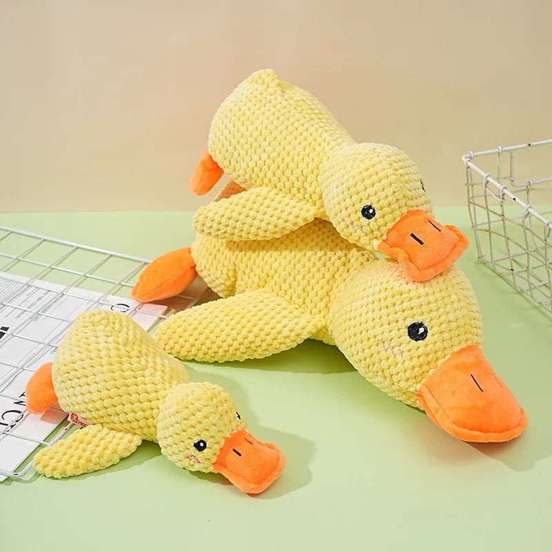 companion dog toy small rubber ducky