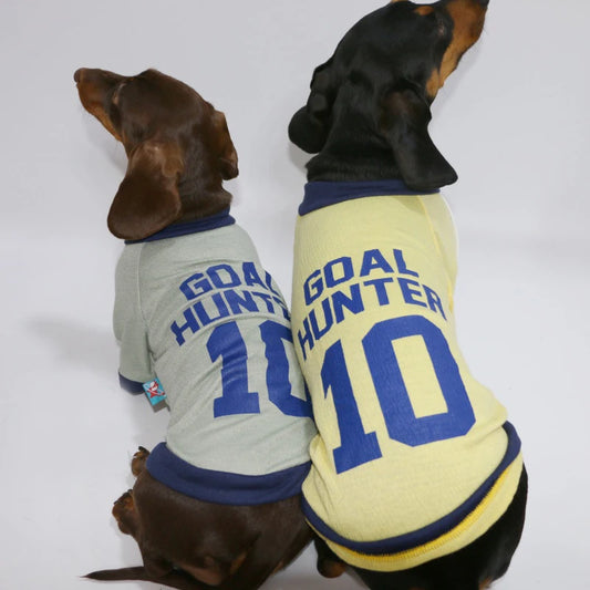 Spring Fashion T-shirt for Dachshund