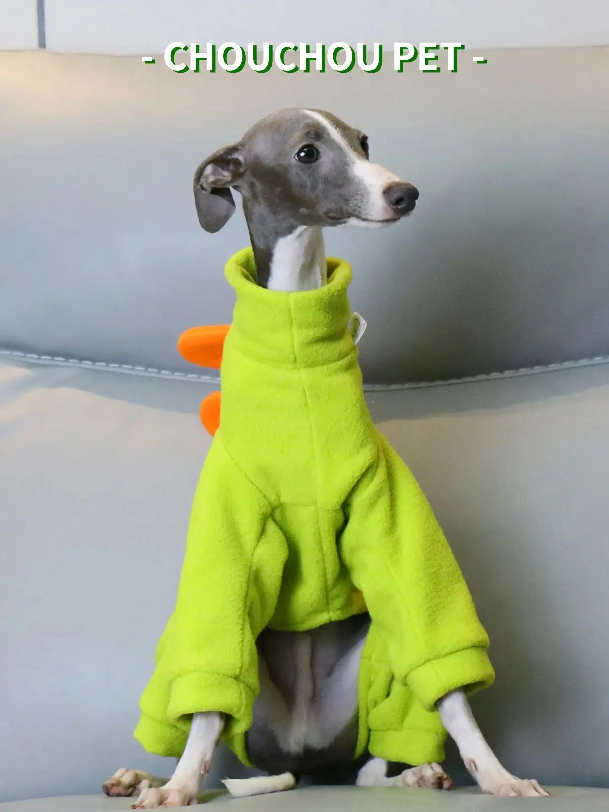 Dinosaur Winter Italian Greyhound Clothes