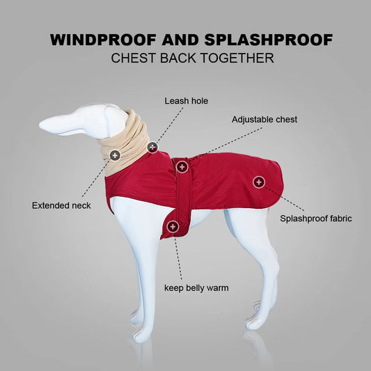 Super Warm Waterproof Greyhound Clothes