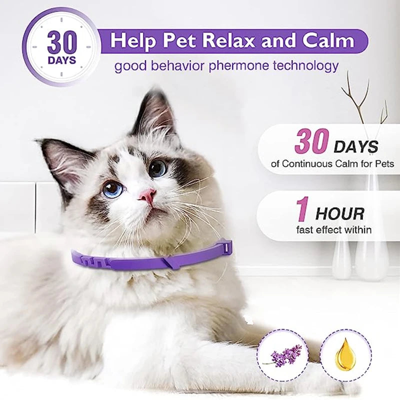 Calming Pheromone Collar for Dogs and Cats