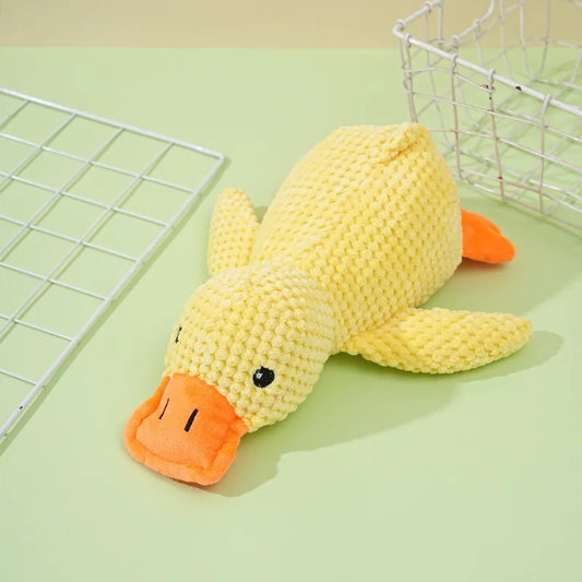 rubber ducky dog toy