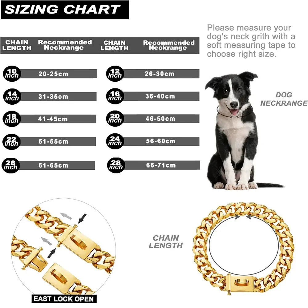steel collar for dogs