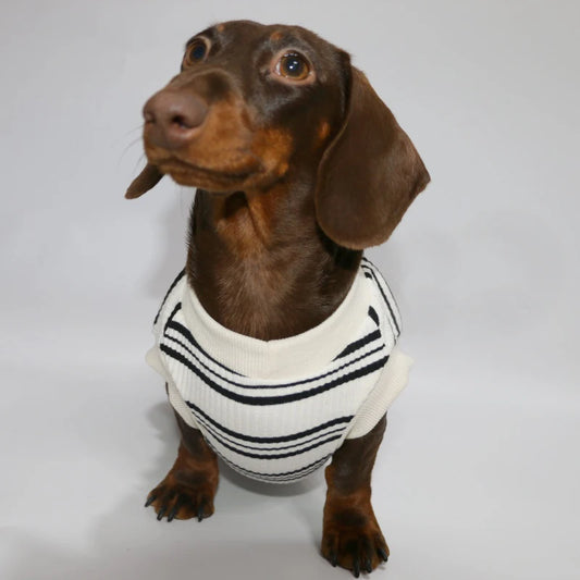 Striped Dachshund T shirt Sleeveless Vest