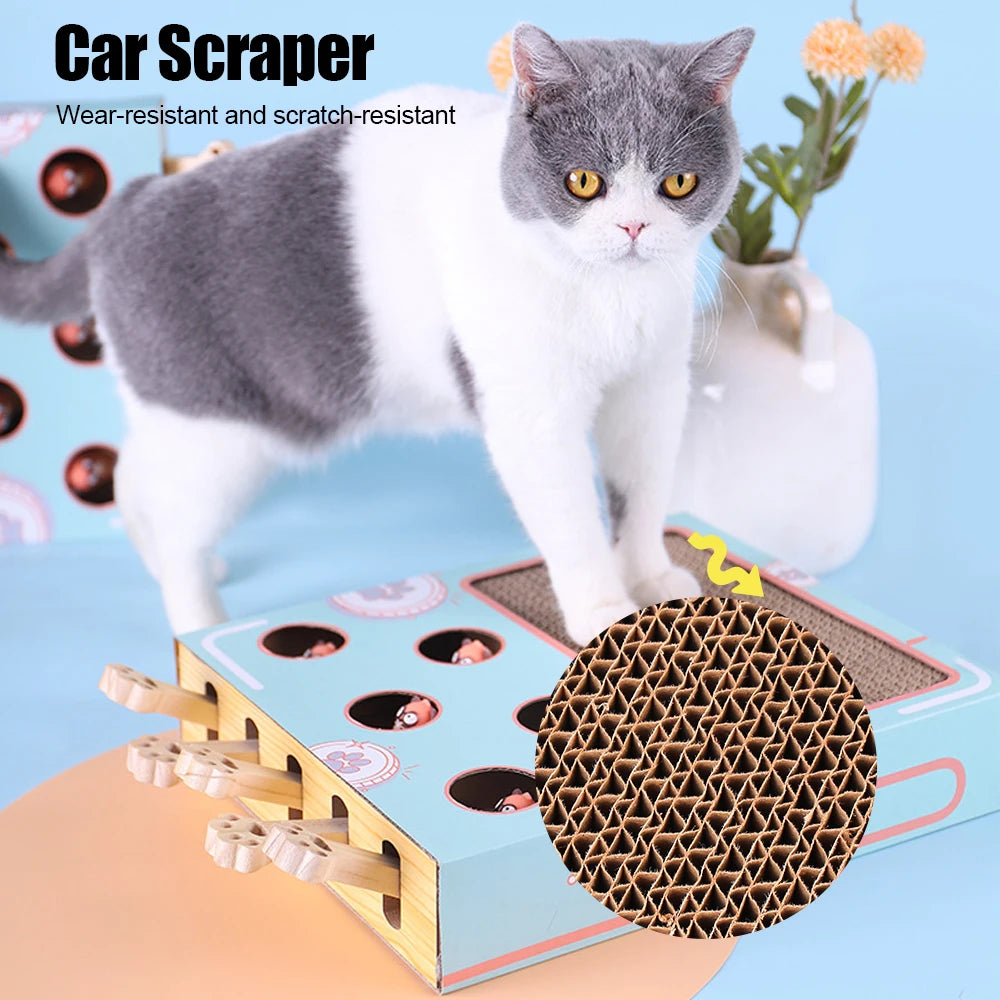 mouse in a box cat toy