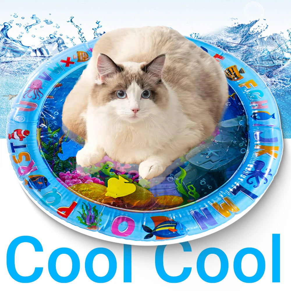 cat food and water mat