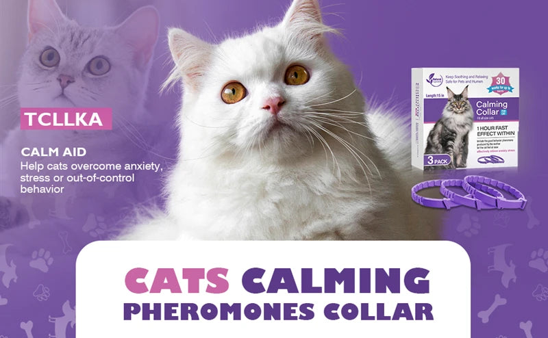 best calming collar for dogs